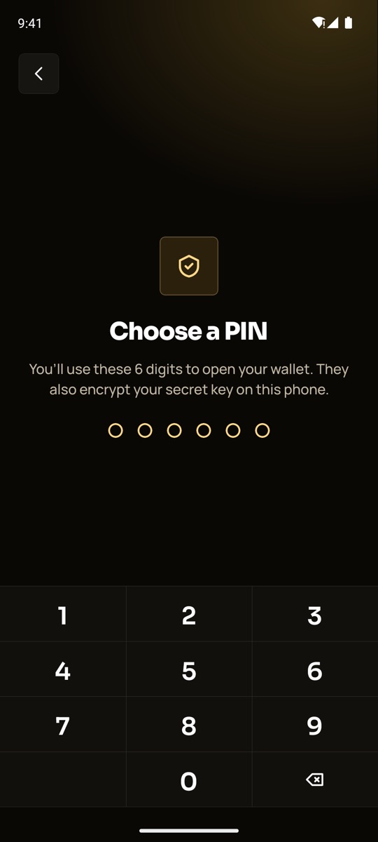 Choose a PIN screen: six digits that open the wallet and encrypt the secret key on the phone